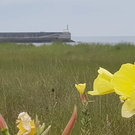 Апартаменты Laarenaconfort