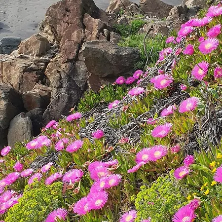 Апартаменты Laarenaconfort San Juan De La Arena