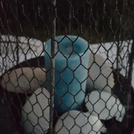 Apartmán Laarenaconfort